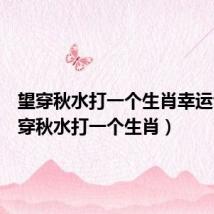 望穿秋水打一个生肖幸运色(望穿秋水打一个生肖)