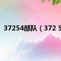 37254部队(372 54)