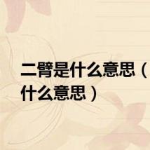 二臂是什么意思（二是什么意思）