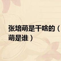 张培萌是干啥的（张培萌是谁）