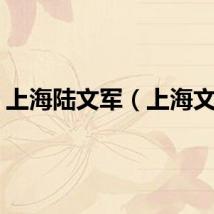 上海陆文军（上海文军）