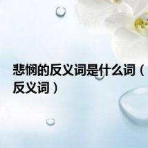 悲悯的反义词是什么词(悲悯的反义词)