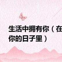 生活中拥有你（在拥有你的日子里）