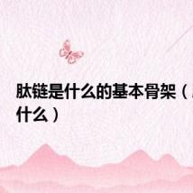 肽链是什么的基本骨架(肽链是什么)