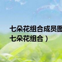 七朵花组合成员图片（七朵花组合）