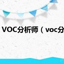 VOC分析师(voc分析)