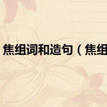 焦组词和造句（焦组词）