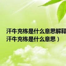 汗牛充栋是什么意思解释词语(汗牛充栋是什么意思)
