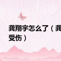 龚翔宇怎么了(龚翔宇受伤)