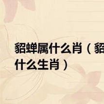 貂蝉属什么肖(貂婵属什么生肖)