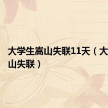 大学生嵩山失联11天(大学生嵩山失联)