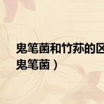 鬼笔菌和竹荪的区别（鬼笔菌）