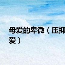 母爱的卑微（压抑的母爱）