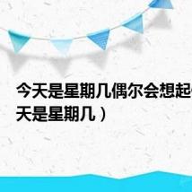 今天是星期几偶尔会想起你(今天是星期几)