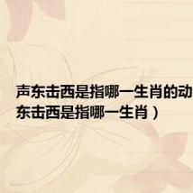 声东击西是指哪一生肖的动物(声东击西是指哪一生肖)