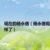 现在的杨永信（杨永信现在怎么样了）