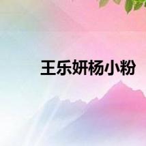 王乐妍杨小粉