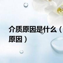 介质原因是什么（介质原因）