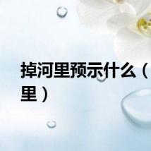 掉河里预示什么（掉河里）