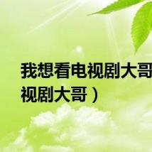 我想看电视剧大哥（电视剧大哥）