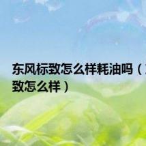 东风标致怎么样耗油吗(东风标致怎么样)