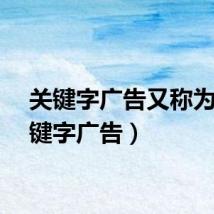 关键字广告又称为（关键字广告）