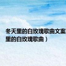冬天里的白玫瑰歌曲文案(冬天里的白玫瑰歌曲)