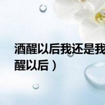 酒醒以后我还是我（酒醒以后）