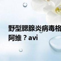 野型腮腺炎病毒格式转阿维？avi