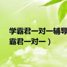 学霸君一对一辅导（学霸君一对一）