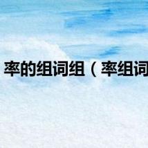 率的组词组（率组词语）