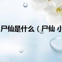 尸仙是什么（尸仙 小说）
