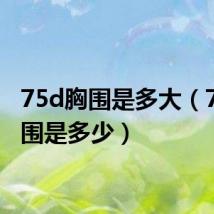75d胸围是多大(75d胸围是多少)