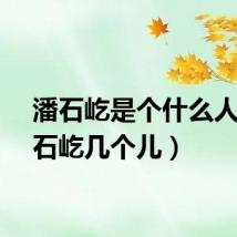 潘石屹是个什么人（潘石屹几个儿）