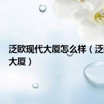 泛欧现代大厦怎么样(泛欧现代大厦)