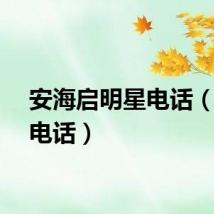 安海启明星电话（明星电话）