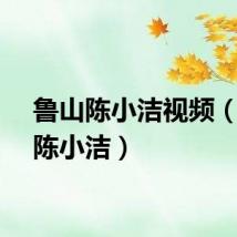 鲁山陈小洁视频（鲁山陈小洁）