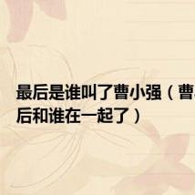 最后是谁叫了曹小强(曹小强最后和谁在一起了)