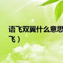 语飞双翼什么意思（语飞）
