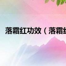 落霜红功效（落霜红）