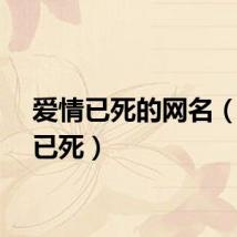 爱情已死的网名（爱情已死）