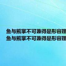 鱼与熊掌不可兼得是形容理财的（鱼与熊掌不可兼得是形容理财）