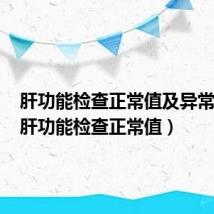 肝功能检查正常值及异常意义（肝功能检查正常值）