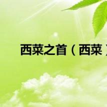 西菜之首（西菜）