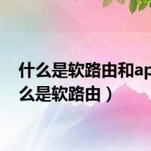 什么是软路由和ap(什么是软路由)