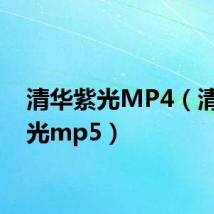 清华紫光MP4（清华紫光mp5）