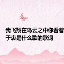 我飞翔在乌云之中你看着我无动于衷是什么歌的歌词