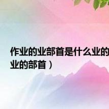作业的业部首是什么业的部首(业的部首)