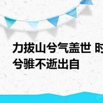 力拔山兮气盖世 时不利兮骓不逝出自