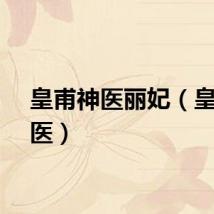皇甫神医丽妃（皇甫神医）